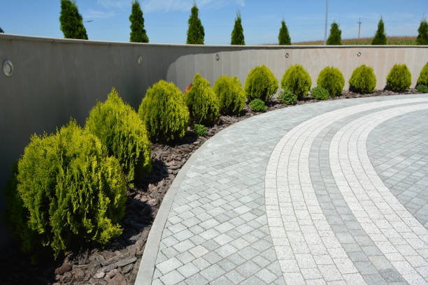 Best Driveway Pavers Near Me  in Scotts Hill, TN